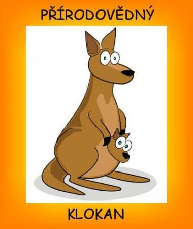 přírdovědný klokan